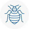 Bed Bug Extermination In Axbridge