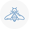Bee Nest Removal Axbridge