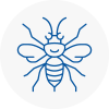 Axbridge Hornet Nest Removals