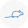 Mice Exterminators In Axbridge