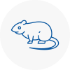 Rat Control Axbridge