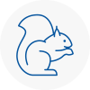 Axbridge Rodent Removals