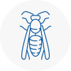Axbridge Wasp Nest Removal